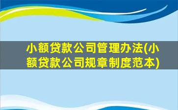 小额贷款公司管理办法(小额贷款公司规章制度范本)