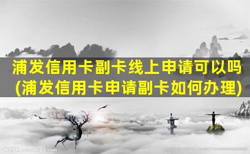 浦发信用卡副卡线上申请可以吗(浦发信用卡申请副卡如何办理)