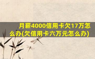 月薪4000信用卡欠17万怎么办(欠信用卡六万元怎么办)