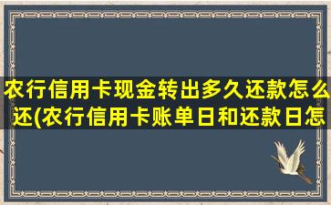 农行信用卡现金转出多久还款怎么还(农行信用卡账单日和还款日怎么算)