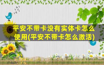 平安不带卡没有实体卡怎么使用(平安不带卡怎么激活)