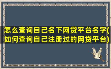 怎么查询自己名下网贷平台名字(如何查询自己注册过的网贷平台)