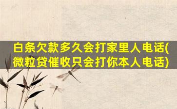 白条欠款多久会打家里人电话(微粒贷催收只会打你本人电话)
