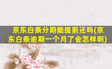 京东白条分期能提前还吗(京东白条逾期一个月了会怎样啊)