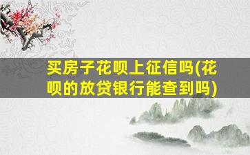 买房子花呗上征信吗(花呗的放贷银行能查到吗)