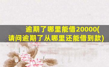 逾期了哪里能借20000(请问逾期了从哪里还能借到款)