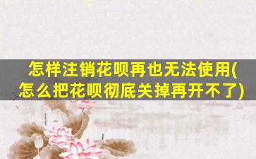怎样注销花呗再也无法使用(怎么把花呗彻底关掉再开不了)