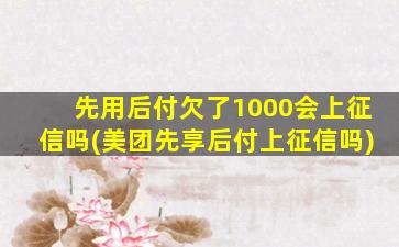 先用后付欠了1000会上征信吗(美团先享后付上征信吗)