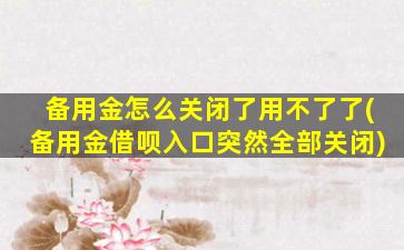 备用金怎么关闭了用不了了(备用金借呗入口突然全部关闭)
