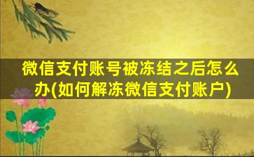 微信支付账号被冻结之后怎么办(如何解冻微信支付账户)