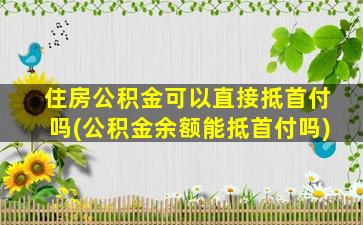 住房公积金可以直接抵首付吗(公积金余额能抵首付吗)