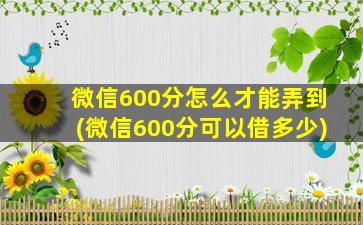 微信600分怎么才能弄到(微信600分可以借多少)