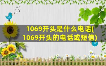 1069开头是什么电话(1069开头的电话或短信)