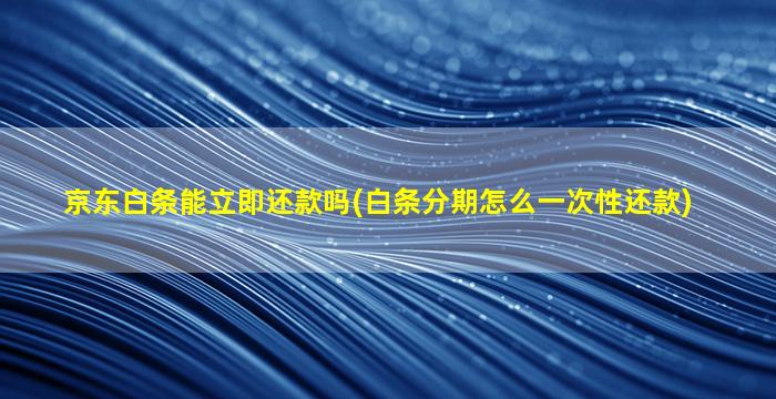 京东白条能立即还款吗(白条分期怎么一次性还款)