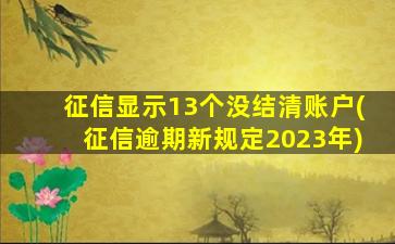 征信显示13个没结清账户(征信逾期新规定2023年)