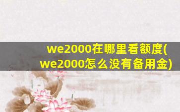 we2000在哪里看额度(we2000怎么没有备用金)