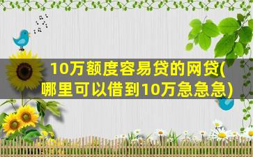 10万额度容易贷的网贷(哪里可以借到10万急急急)