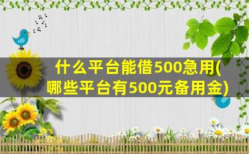 什么平台能借500急用(哪些平台有500元备用金)