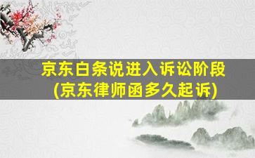 京东白条说进入诉讼阶段(京东律师函多久起诉)