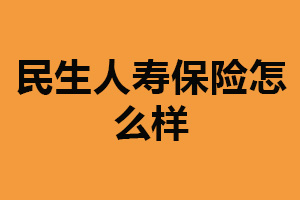 民生人寿保险怎么样？产品丰富（具有实力和信誉）