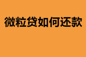微粒贷如何还款?两种还款方式(便捷借款服务)