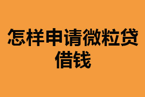 怎样申请微粒贷借钱?简单方便(附详细流程)