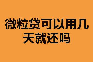 微粒贷可以用几天就还吗?可以(一种短期借款方式)