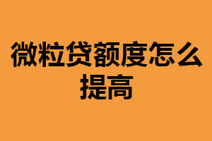 微粒贷额度怎么提高？提高收入状况（选择合适的担保方式）