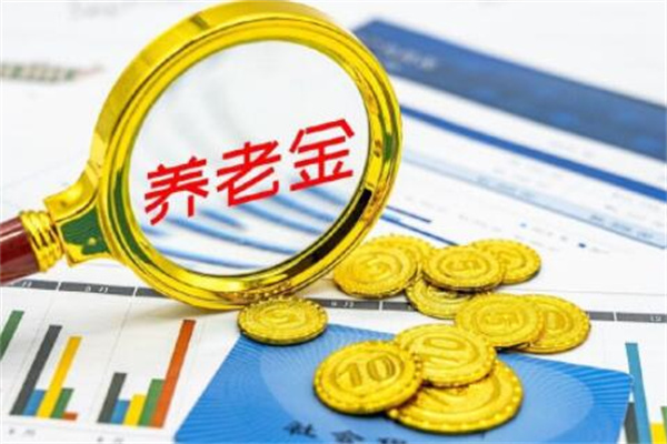 养老金查询个人账户查询怎么查?登录社保网站(首次需注册)