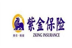 紫金保险是什么?中国人寿保险公司旗下全资子公司