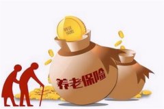 养老保险是什么?社会保险制度(参保者退休后可获得养老金)