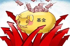 共同基金是什么?集合投资方式(能使单个投资者风险降低)