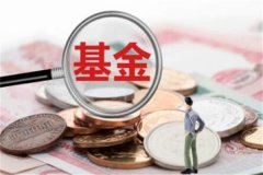 什么是基金配售?基金公司向公众发行基金份额的过程