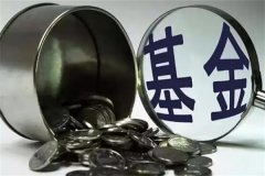 子基金与母基金有什么区别?母基金更加通用(子精准更精准)