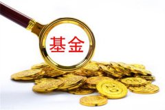 基金份额怎么算出来?购买的基金资金总额除以基金净值