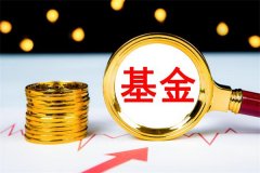 新手怎么购买基金?了解不同类别基金(合适最重要)