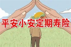 平安小安定期寿险保什么?保障身故和全残(从而降低生活负担)