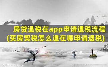 房贷退税在app申请退税流程(买房契税怎么退在哪申请退税)