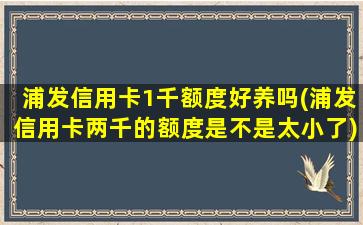 浦发信用卡1千额度好养吗(浦发信用卡两千的额度是不是太小了)