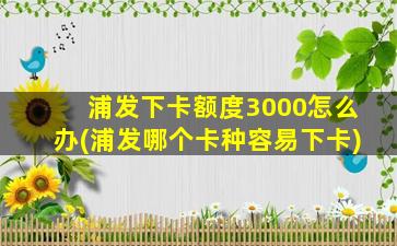 浦发下卡额度3000怎么办(浦发哪个卡种容易下卡)