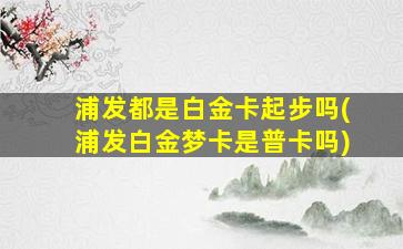 浦发都是白金卡起步吗(浦发白金梦卡是普卡吗)