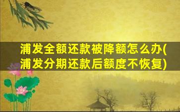 浦发全额还款被降额怎么办(浦发分期还款后额度不恢复)