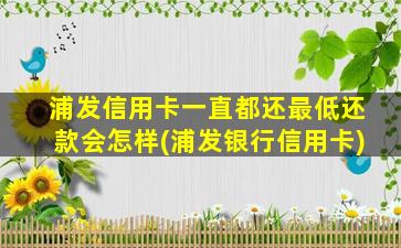 浦发信用卡一直都还最低还款会怎样(浦发银行信用卡)