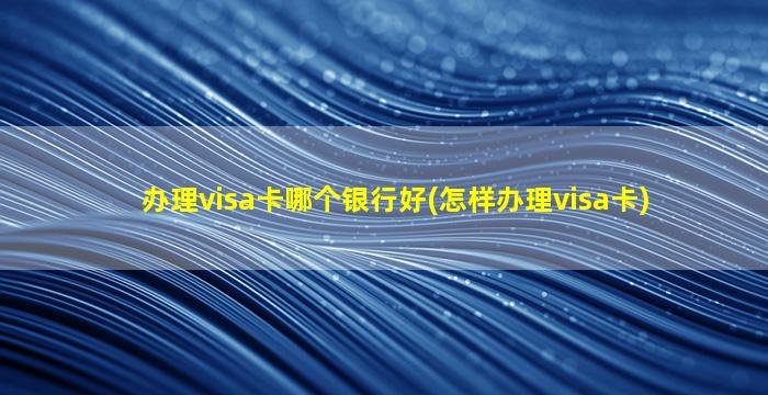 办理visa卡哪个银行好(怎样办理visa卡)