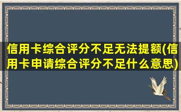 信用卡综合评分不足无法提额(信用卡申请综合评分不足什么意思)