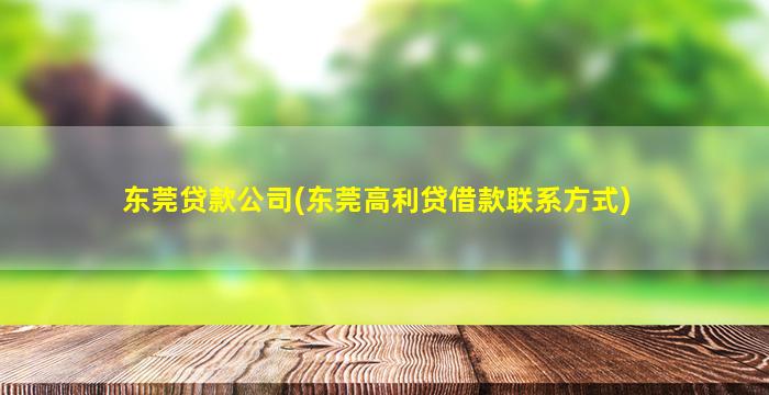 东莞贷款公司(东莞高利贷借款联系方式)