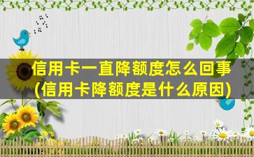 信用卡一直降额度怎么回事(信用卡降额度是什么原因)