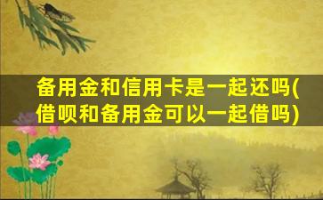 备用金和信用卡是一起还吗(借呗和备用金可以一起借吗)