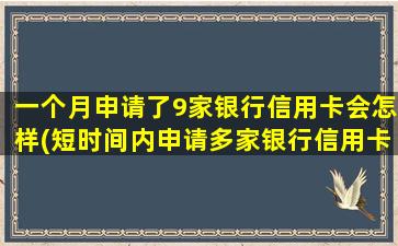 一个月申请了9家银行信用卡会怎样(短时间内申请多家银行信用卡)