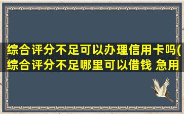 综合评分不足可以办理信用卡吗(综合评分不足哪里可以借钱 急用)